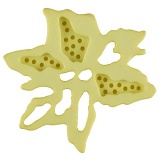 Пуговица, размер 28мм, пластик, Dill, 337723/28-12